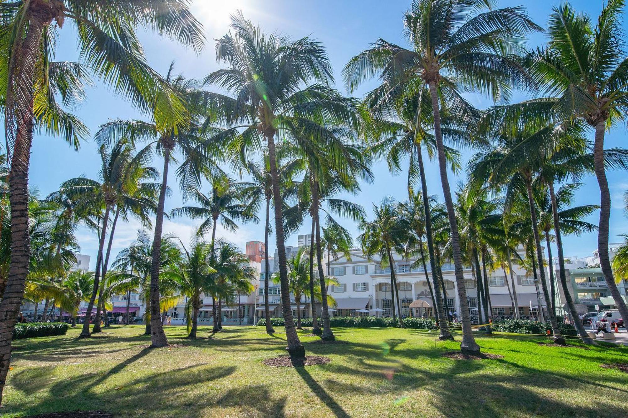 Cozy South Beach 1Br Apt Near Beach & Ocean Drive Miami Beach Exterior photo